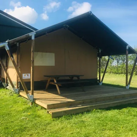 Camping Pipowagen En Safaritent Op Texel Den Burg